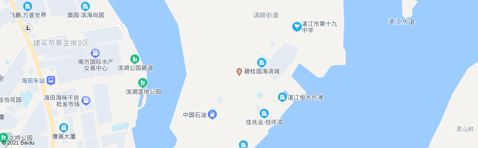 湛江调门口派出所_公交站地图_湛江公交_妙搜公交查询2024