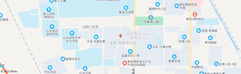 泰安凤凰小区_公交站地图_泰安公交_妙搜公交查询2024